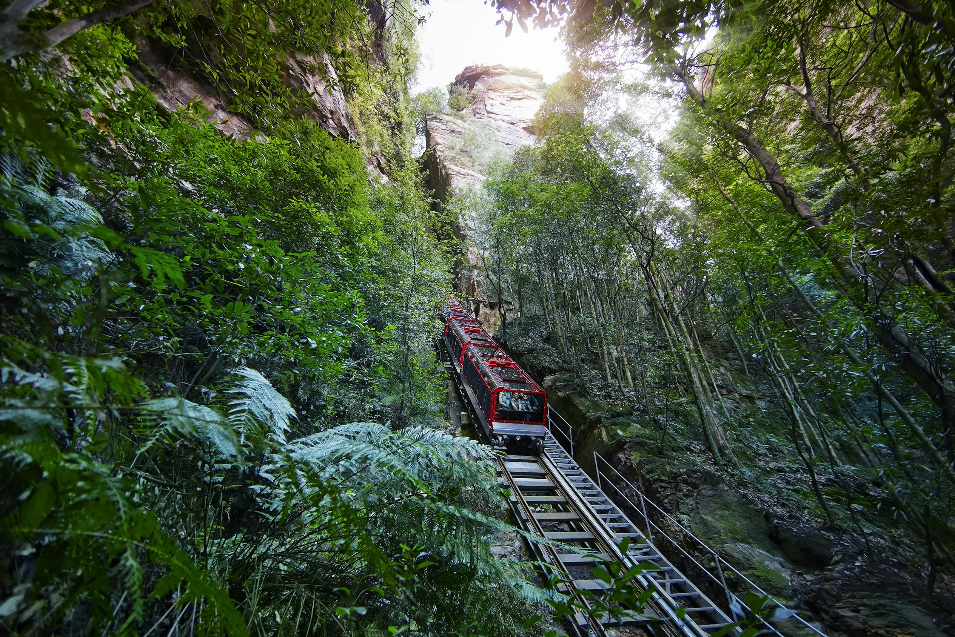 Scenic Railway descending through cliff tunnel
